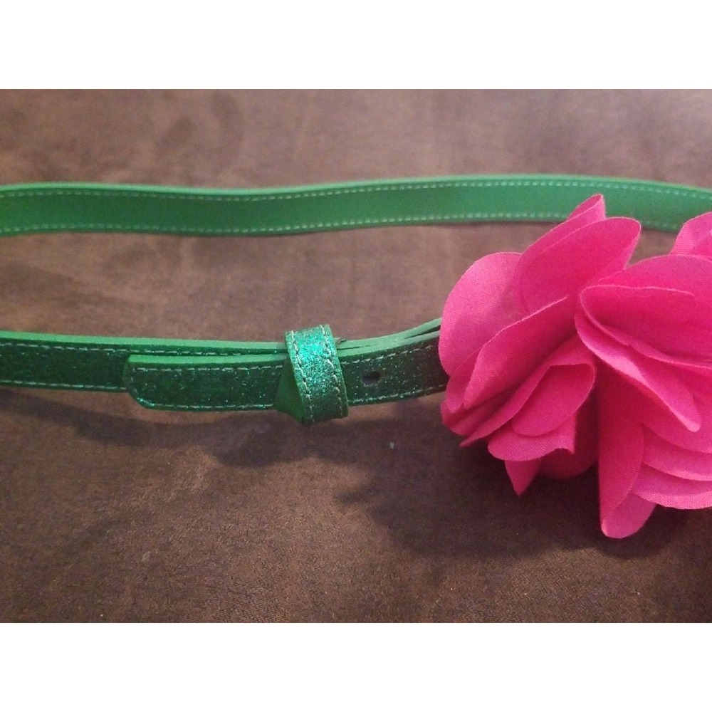 Gymboree falling for feathers belt 8 10